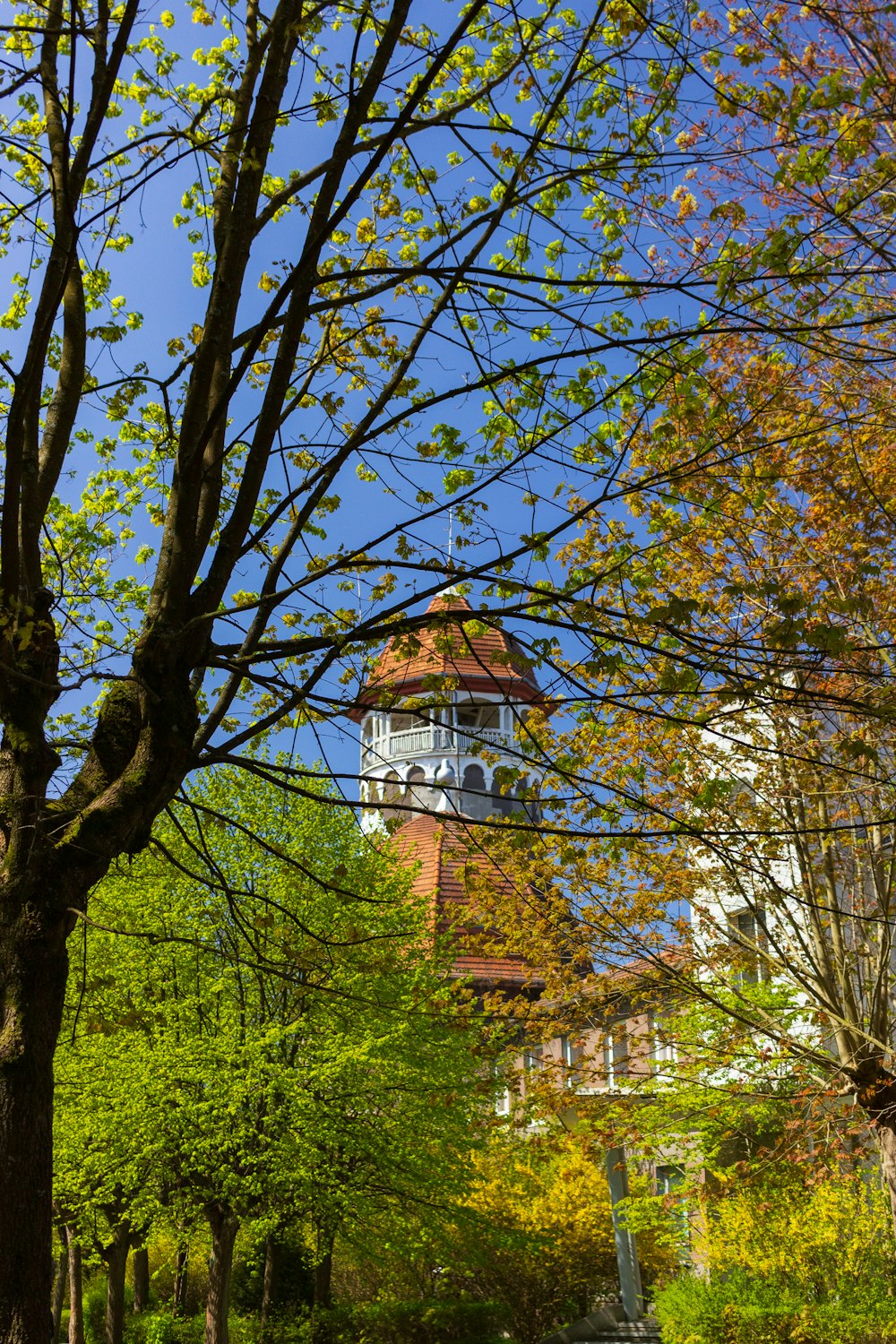 a clock tower towering over a lush green park