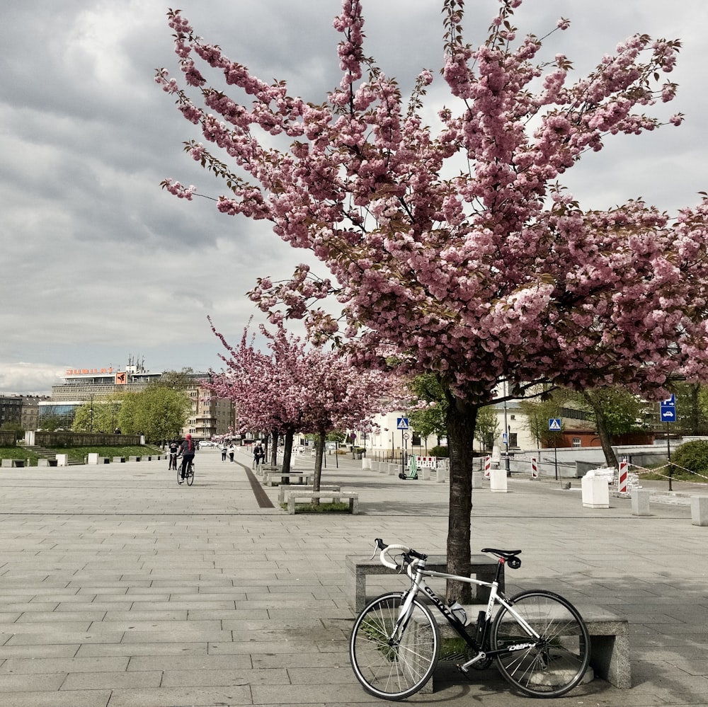 a bicycle parked next to a tree with pink flowers