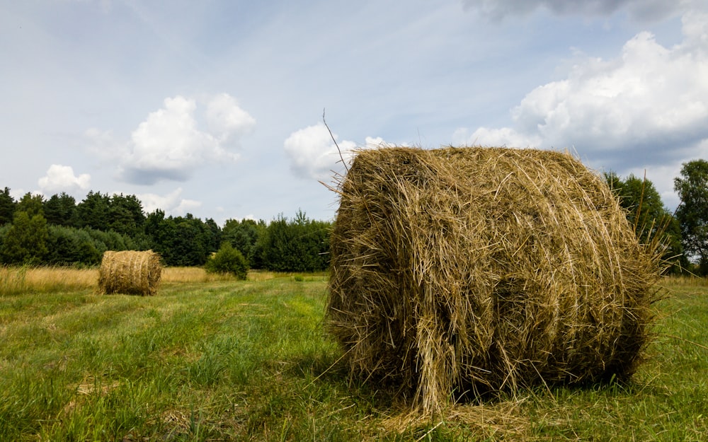 a large bale of hay sitting on top of a lush green field