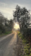 An HGV navigating a winding country road at sunset.