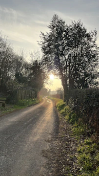 An HGV navigating a winding country road at sunset.
