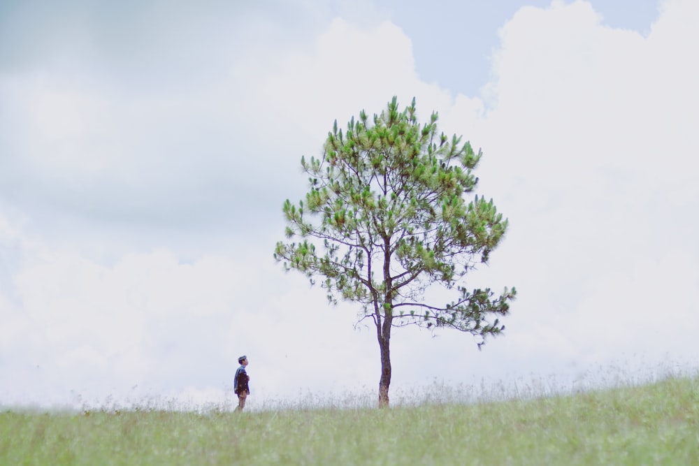 a lone man standing next to a tree in a field