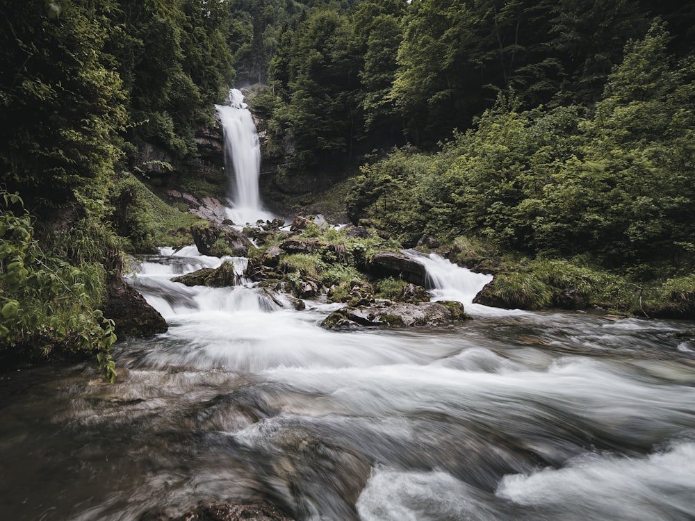 a small waterfall in the middle of a forest