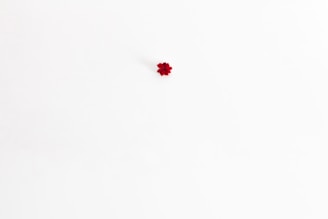 A small red flower is positioned near the center of a vast, plain white background, emphasizing simplicity and minimalism.