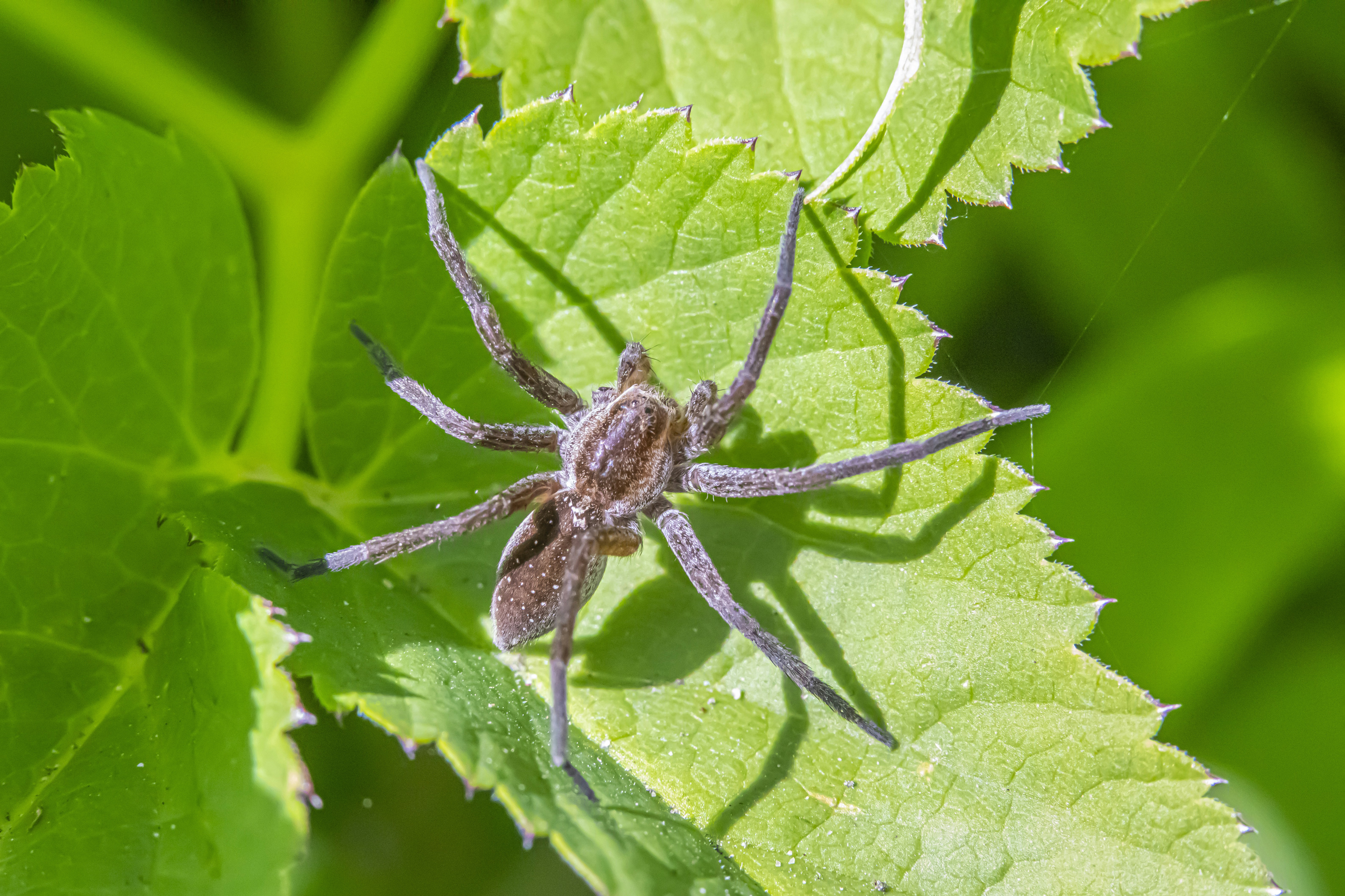 Photo by erik_karits