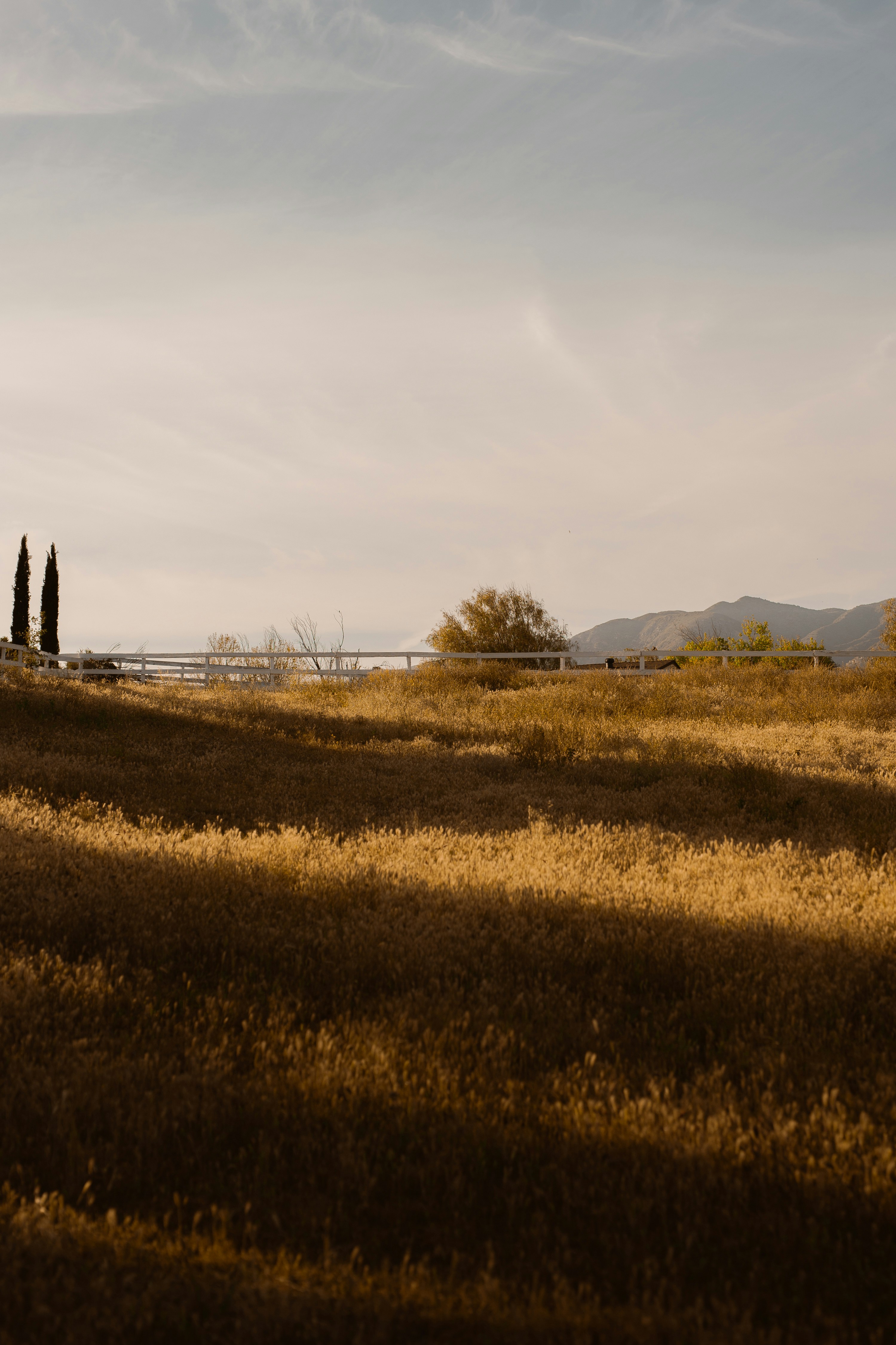 Photo by christopher_cain