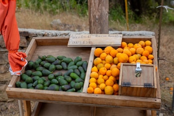 A rustic wooden market stall displays two kinds of fruit. On the left, there are neatly arranged avocados, and on the right, an assortment of small orange fruits labeled as pixies. The sign indicates pricing, with avocados priced at $1 and pixies at $2. An orange cloth, possibly part of a garment or decoration, is visible at the edge of the stall.