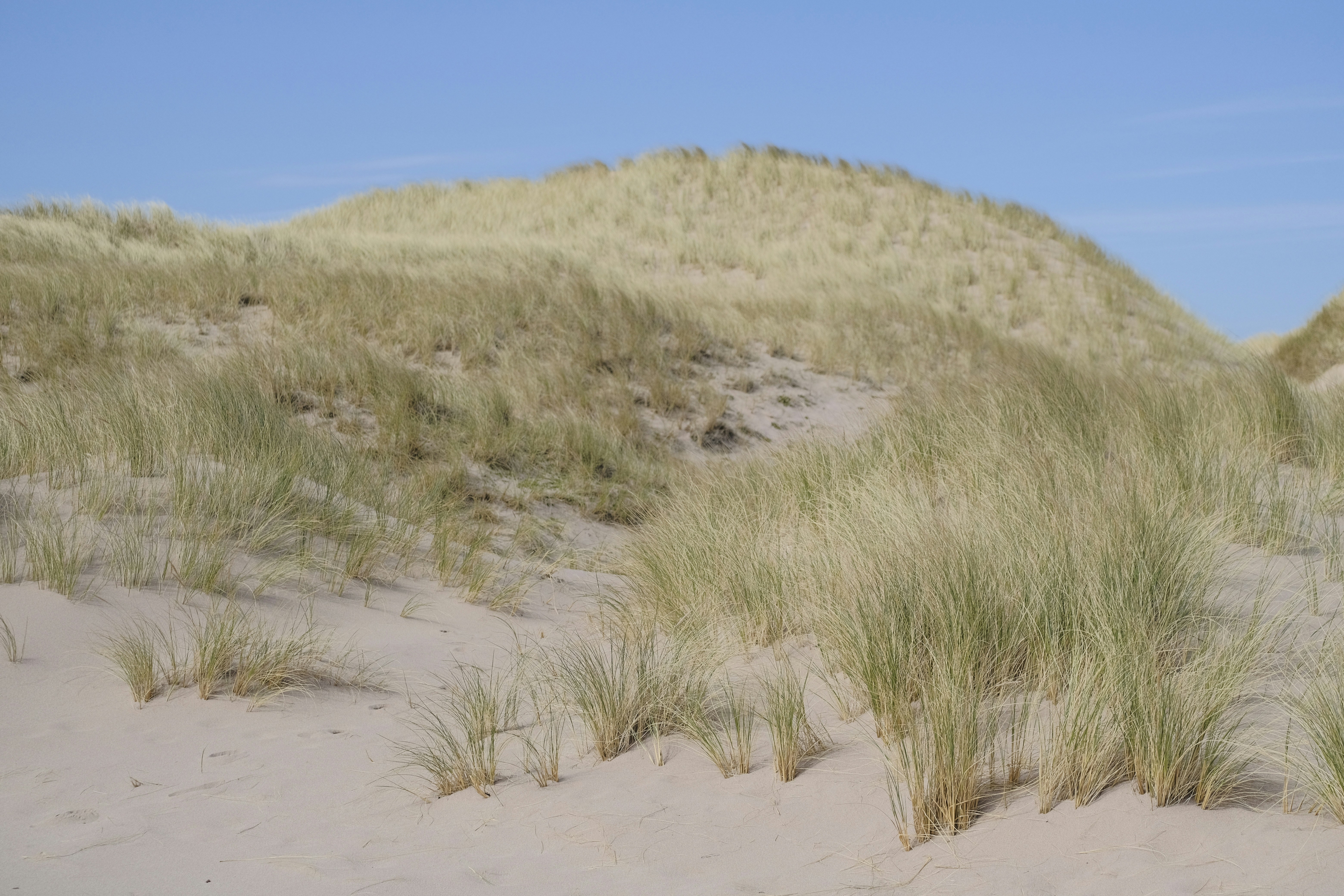 Photo by herrherrmann