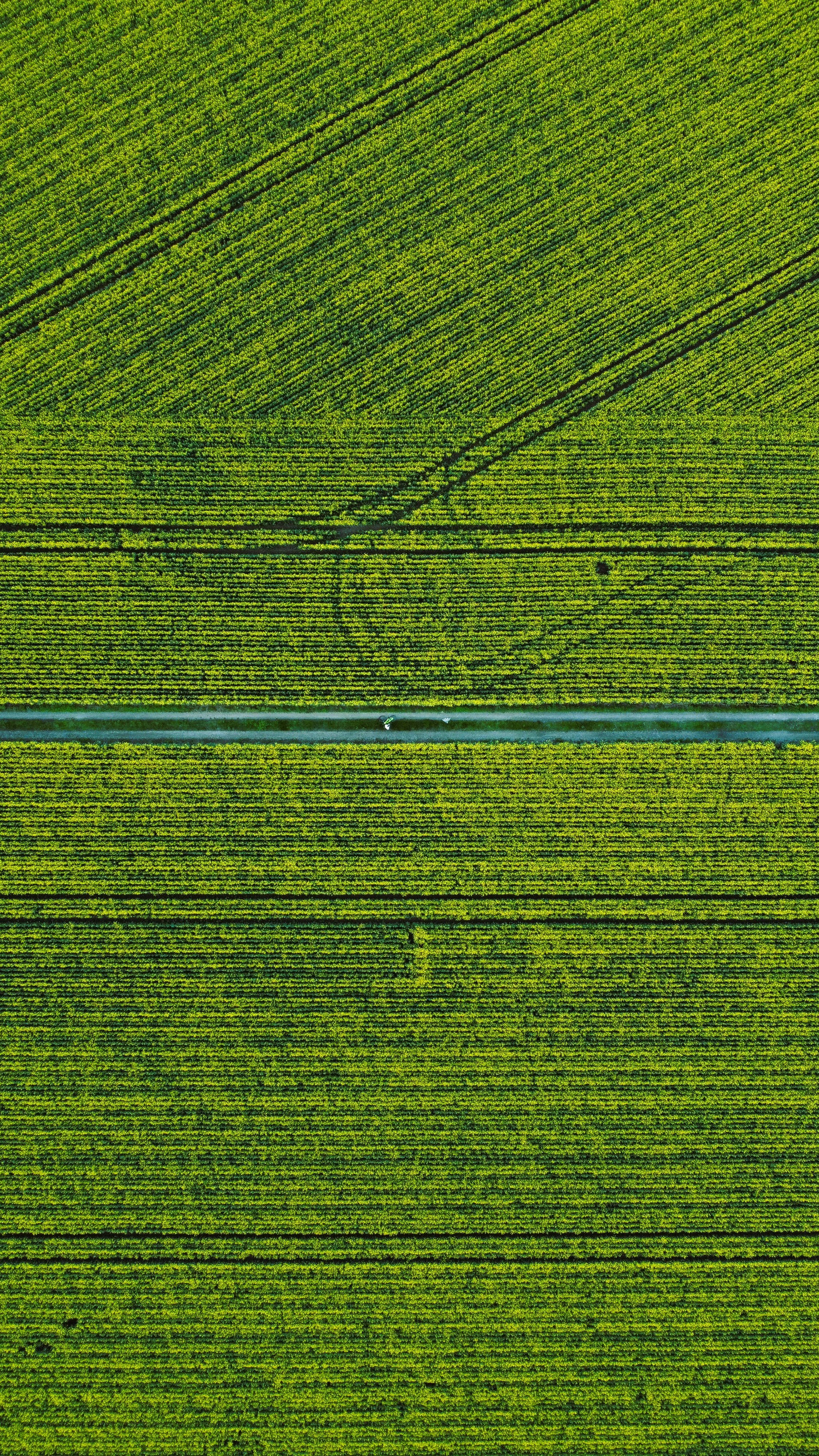 Photo by not_as_cool