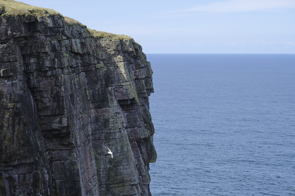 ein Vogel, der über den Rand einer Klippe am Meer fliegt