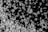 Numerous translucent crystals, likely salt or sugar, are scattered on a black background. The crystals vary in size and shape with some appearing cubic and others more irregular. The contrast between the dark background and the sparkling crystals highlights their clear, multifaceted texture.