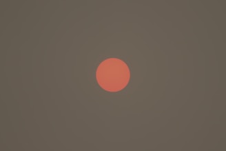 A bright red-orange circle positioned in the center of a muted dark green background.