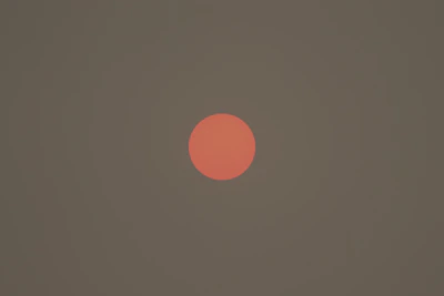 Seal of 7-day satisfaction guarantee with a vibrant orange accent on a neutral background.