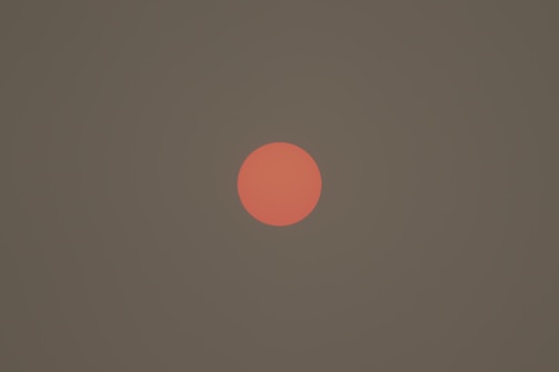 A bright red-orange circle positioned in the center of a muted dark green background.
