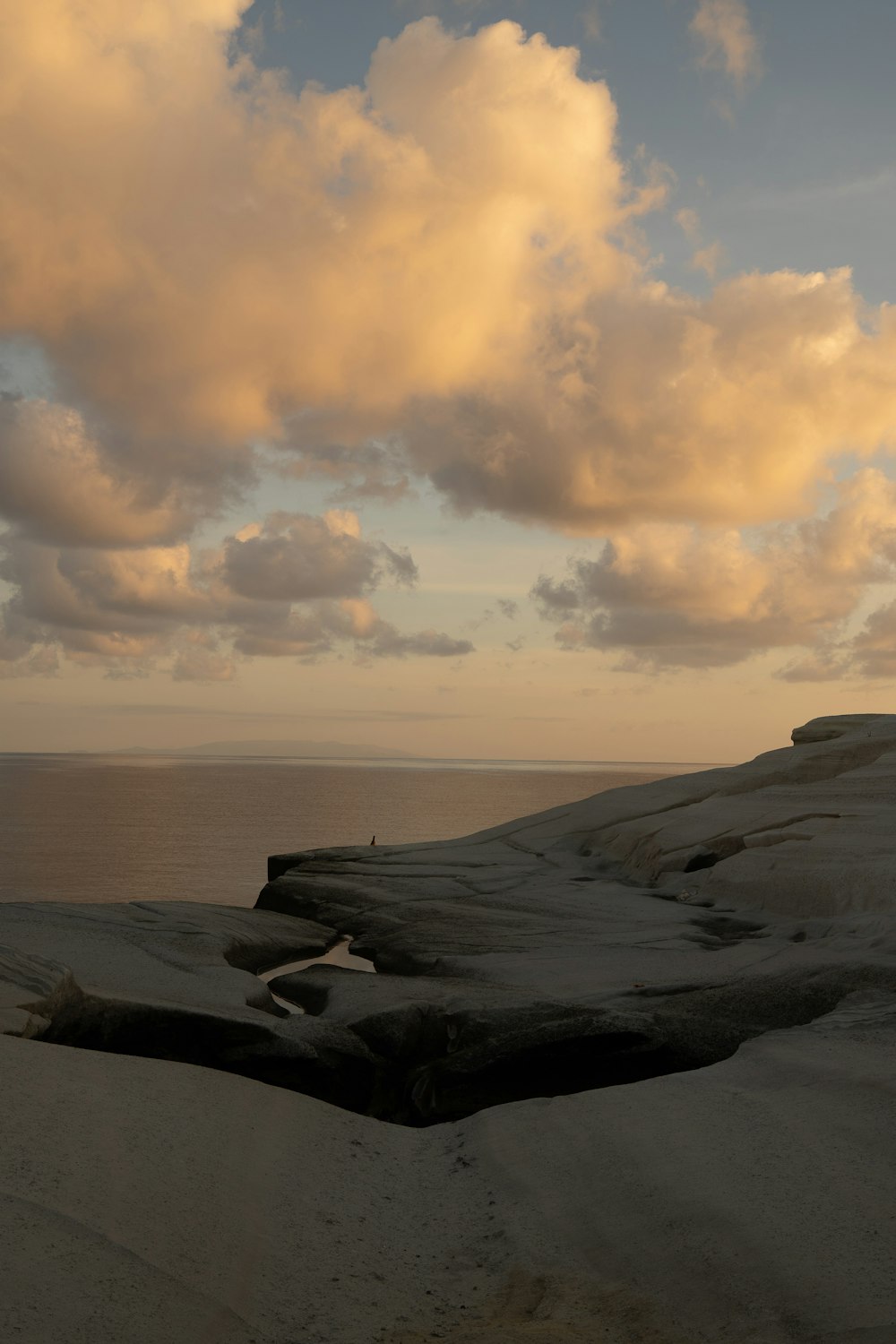 a large tree trunk laying on top of a sandy beach