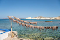 Fresh sea moss drying naturally under the sun on a rustic wooden table.