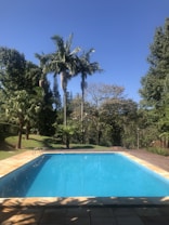 A tranquil outdoor scene featuring a large rectangular swimming pool surrounded by a patio. Tall palm trees and lush greenery are visible in the background under a clear blue sky. The interior of the pool reflects the surrounding trees and sky.
