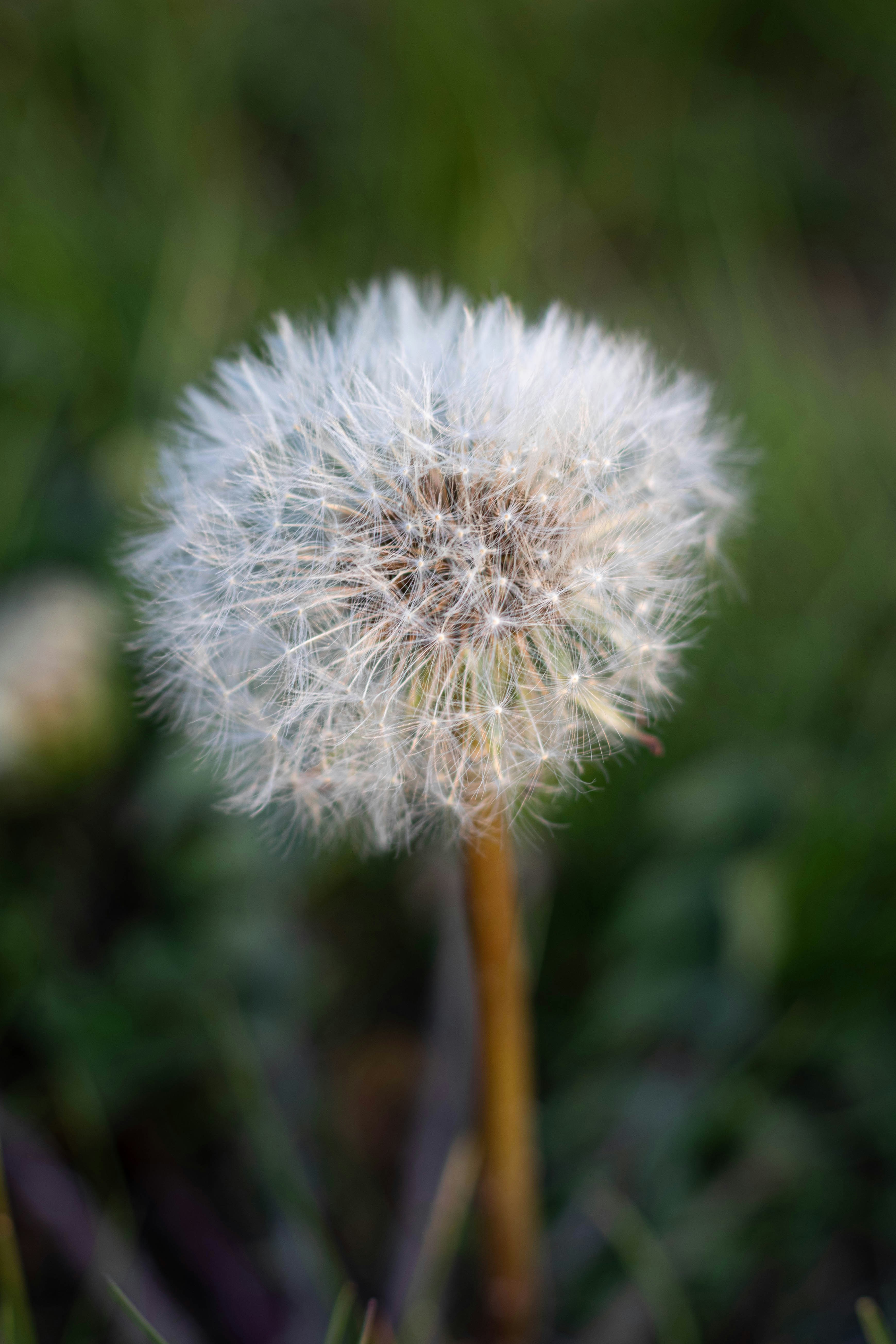 Photo by something_else