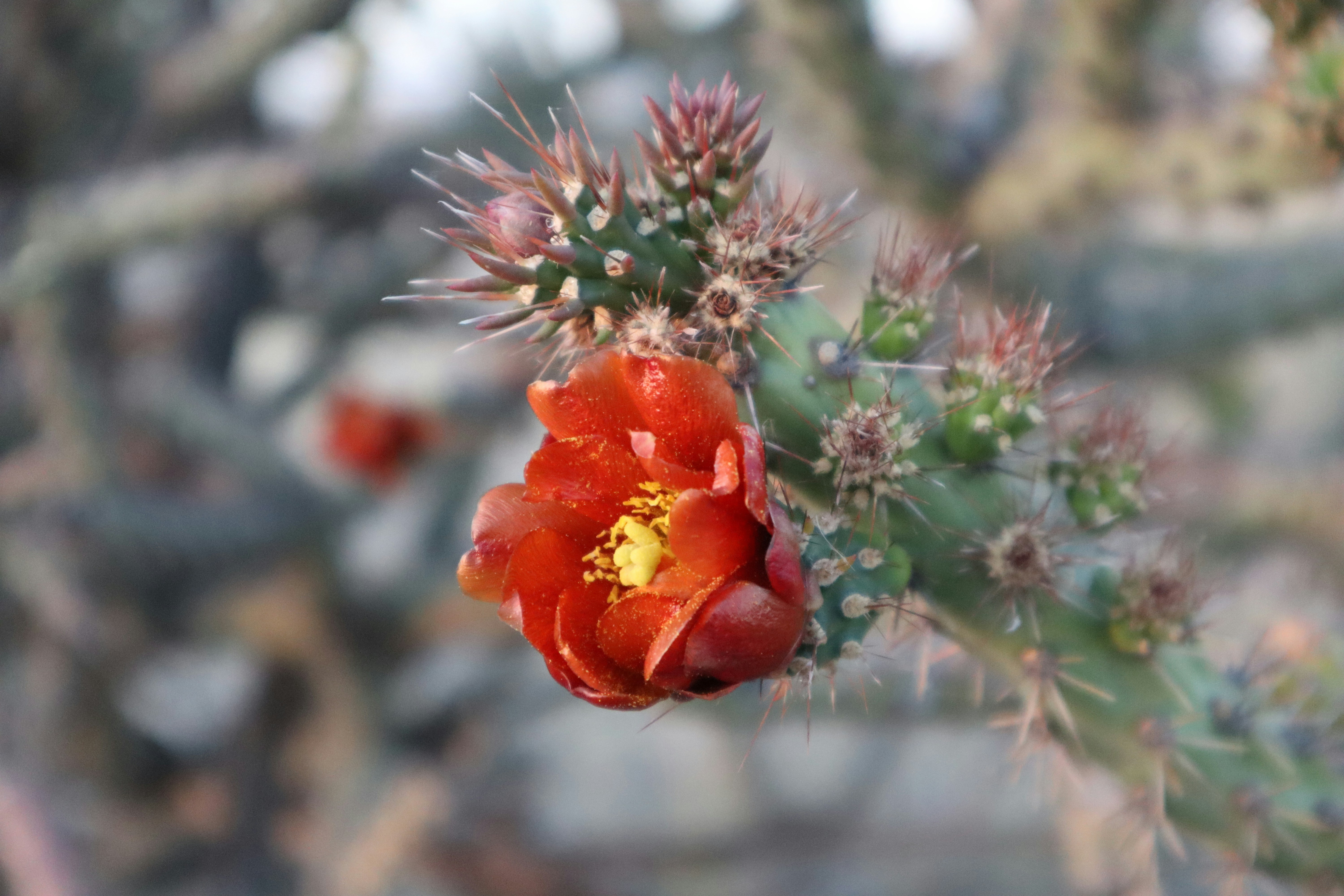 Photo by coconuticecream