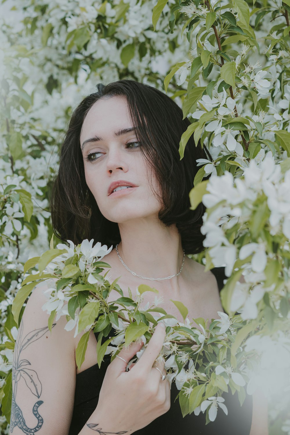 a woman in a black dress holding a branch of a tree