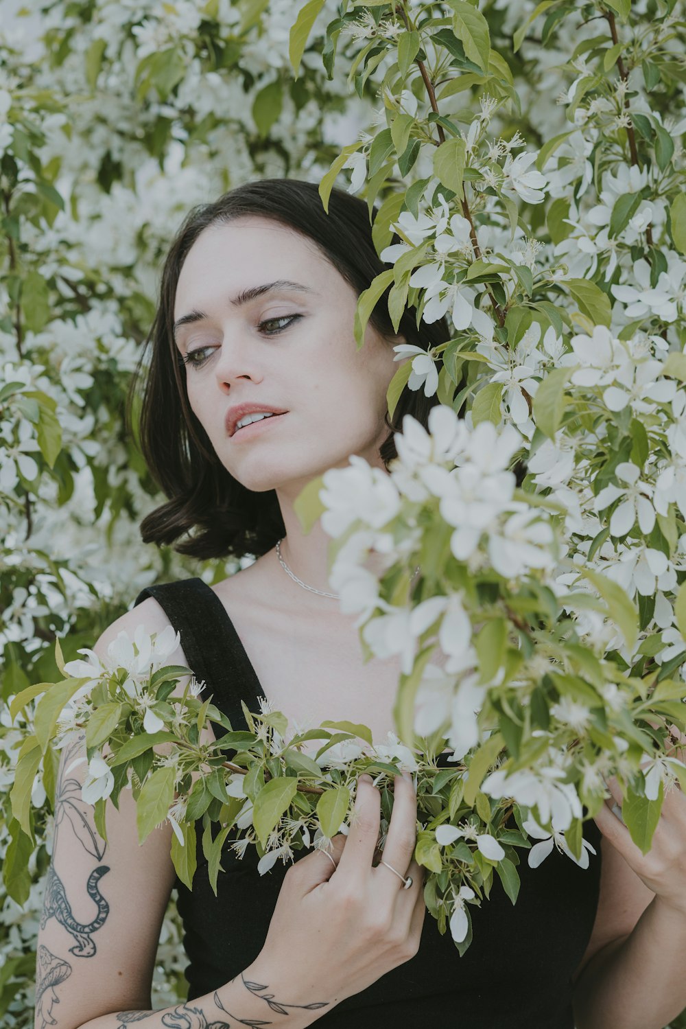 a woman in a black dress holding a branch of a tree