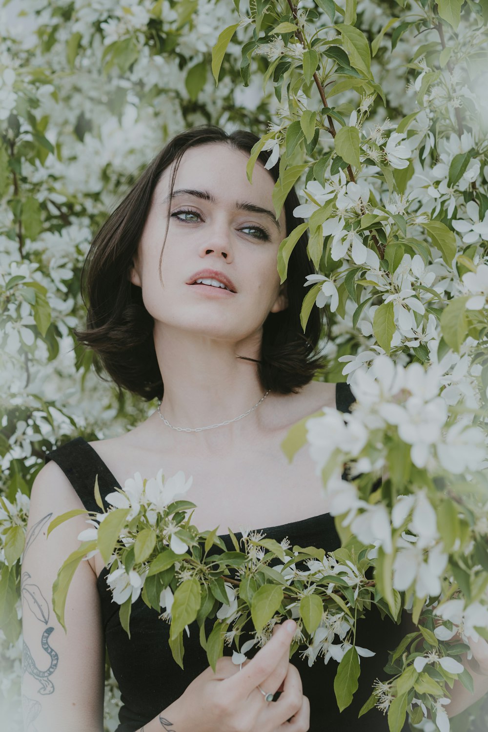 a woman in a black dress holding a branch of a tree