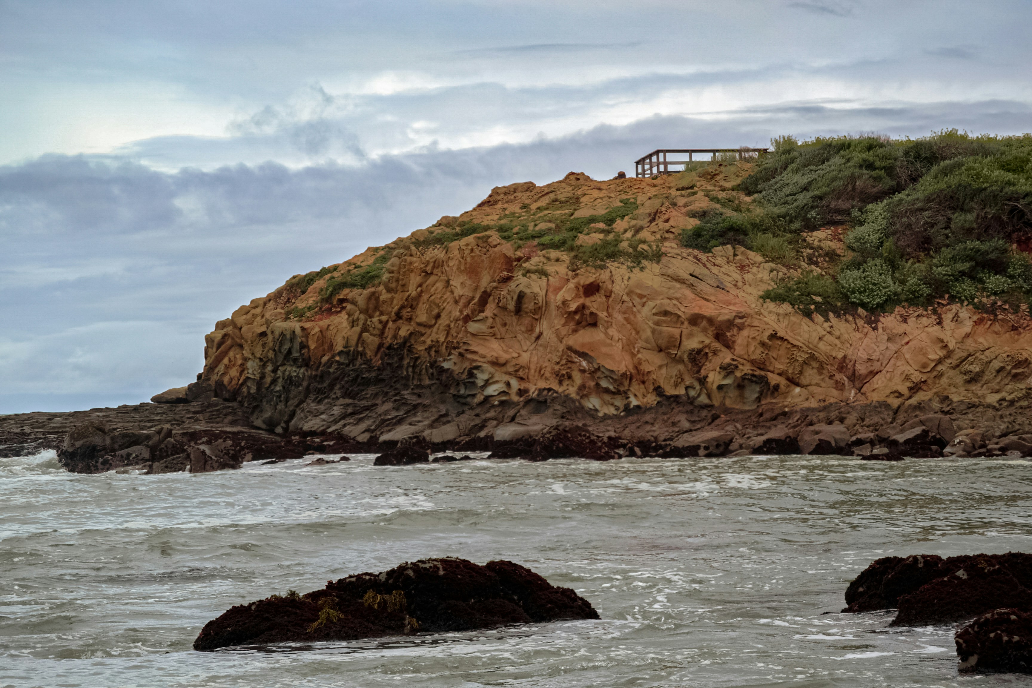 Photo by justinaudia