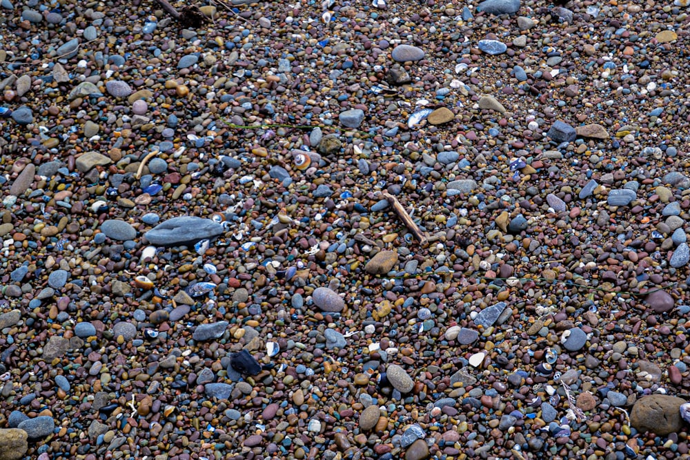 a bunch of rocks that are laying on the ground