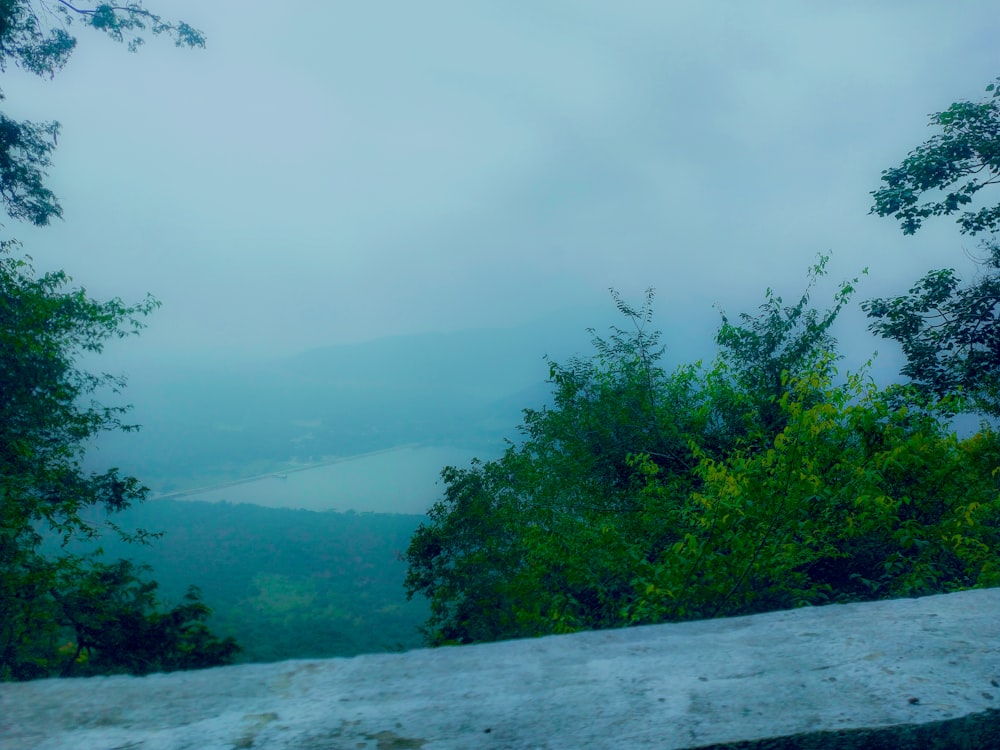 a wooden bench sitting on top of a lush green hillside