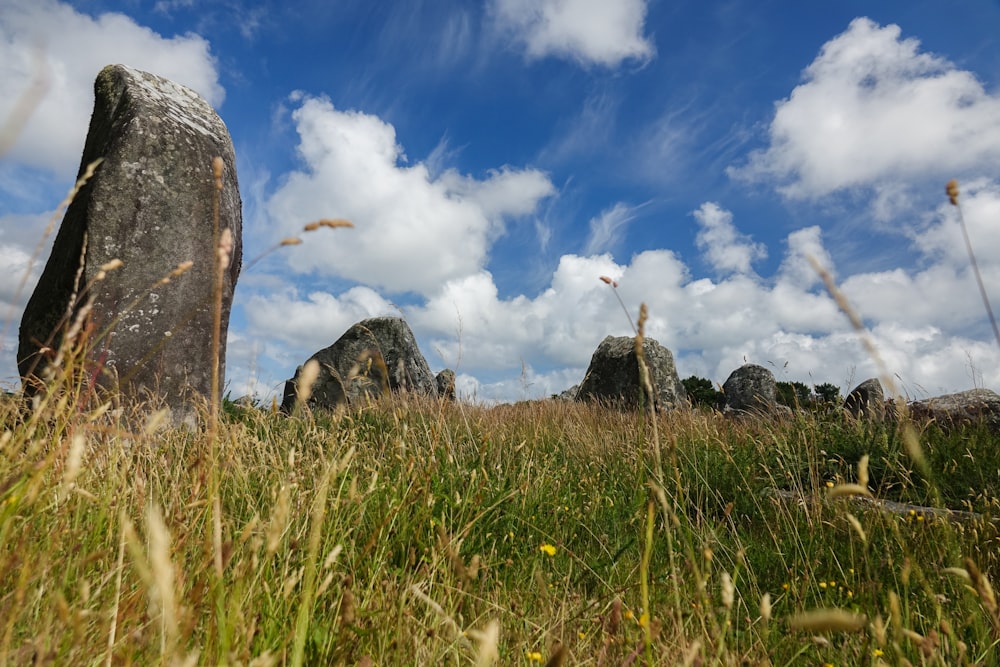 a grassy field with large rocks in the background