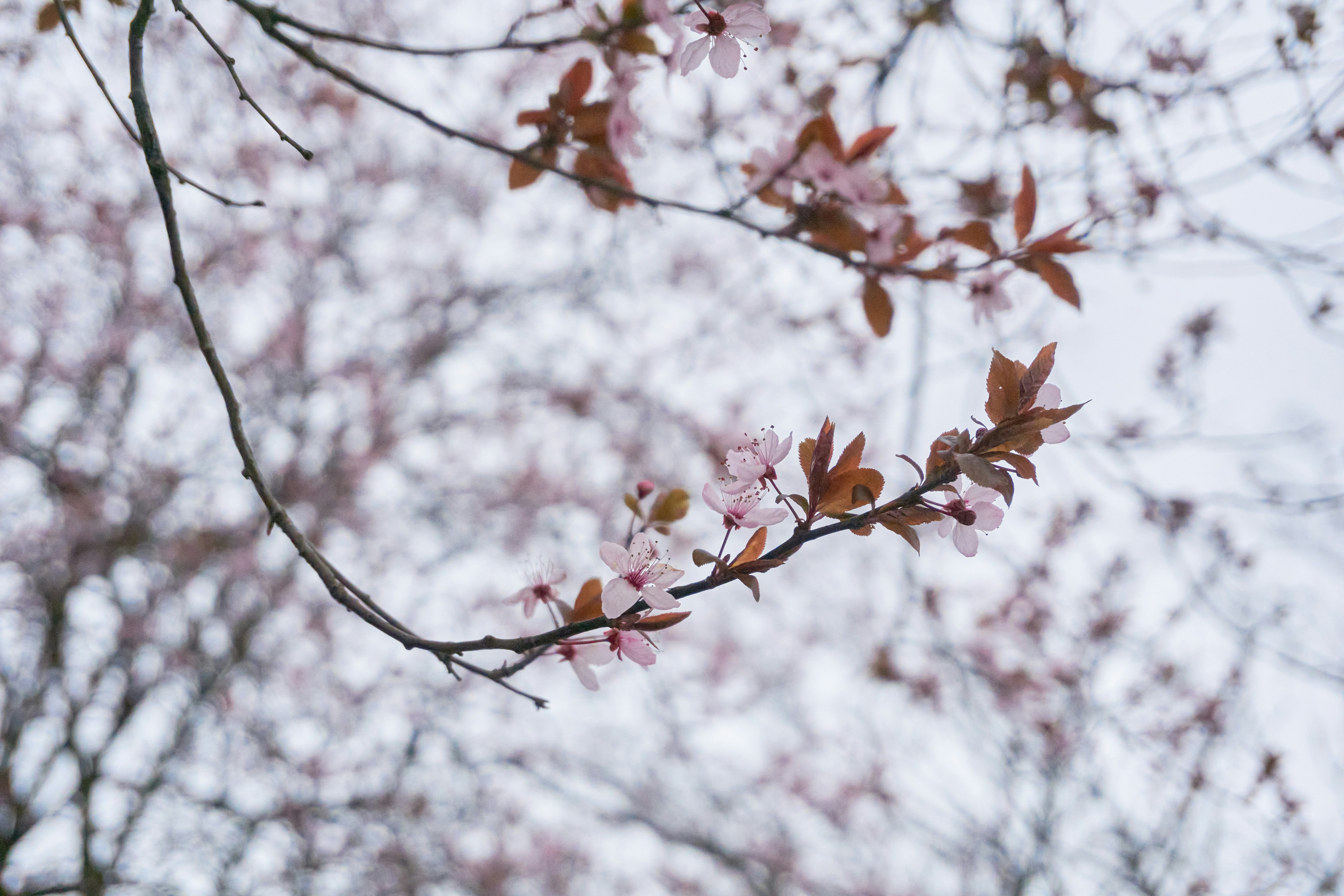 Photo by karin_lehtonen