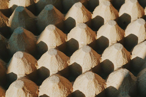Close-up of recycled egg carton material being molded in factory