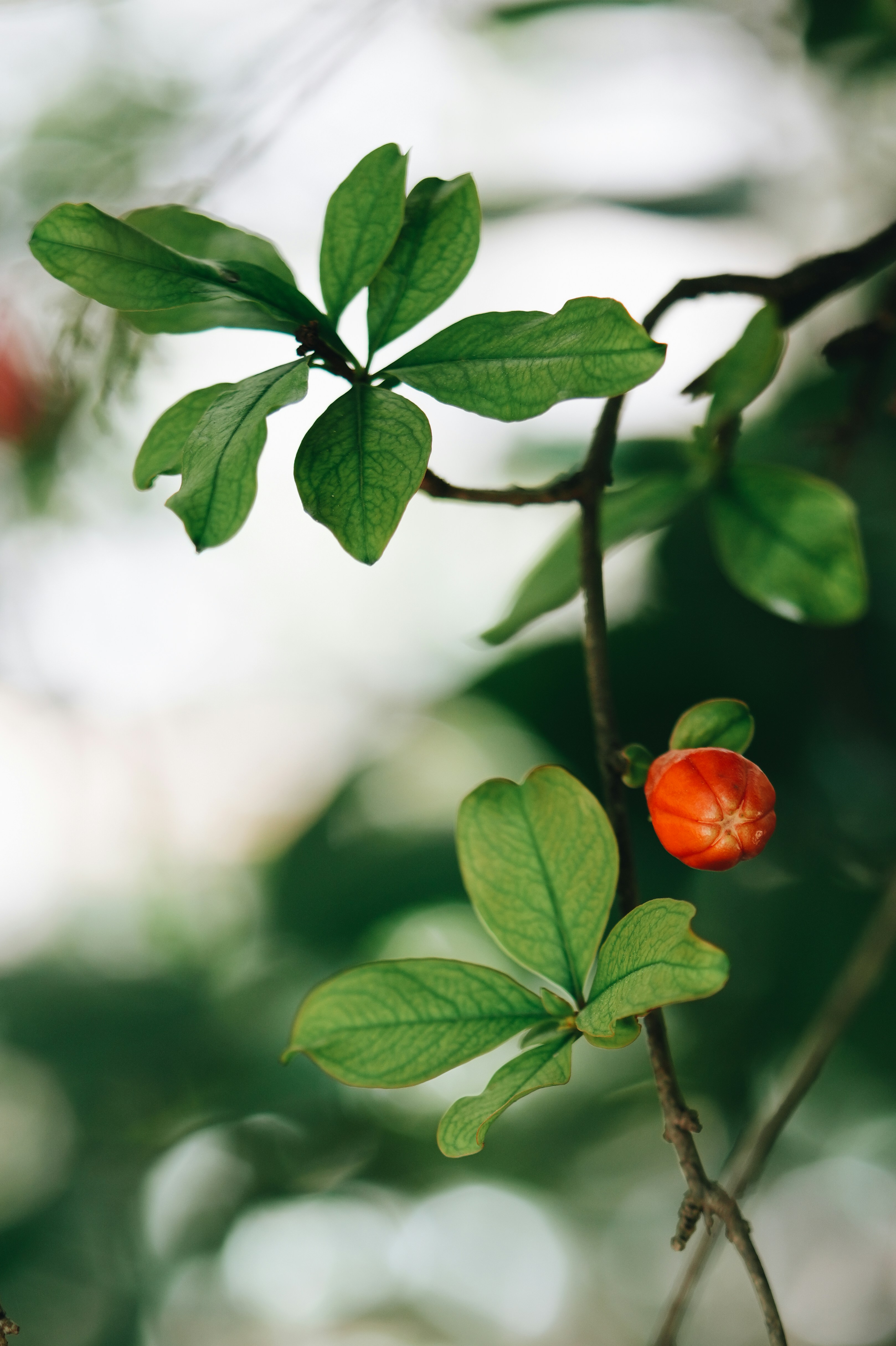 Photo by anyachernykh