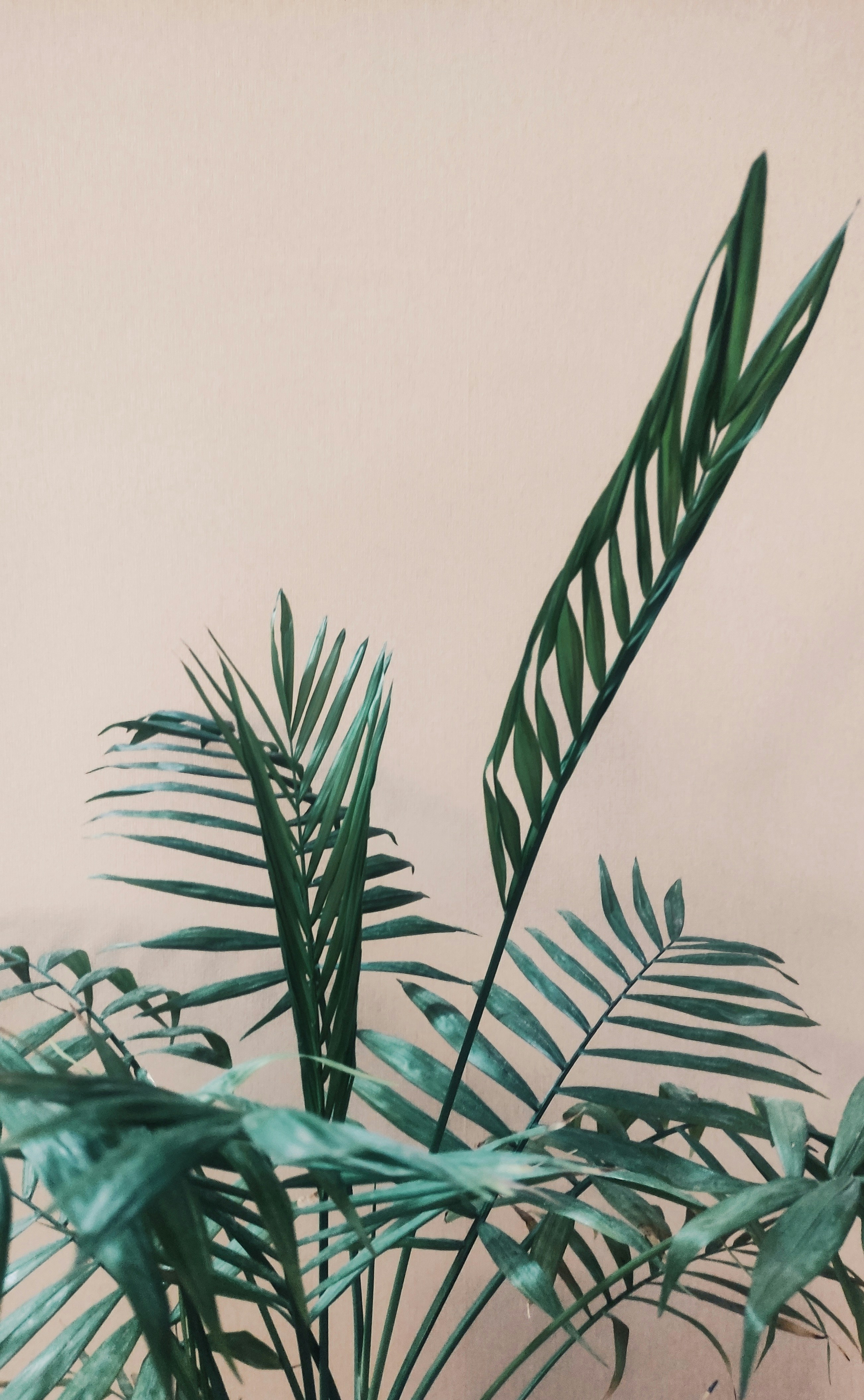 Photo by fatemeheghbalpour