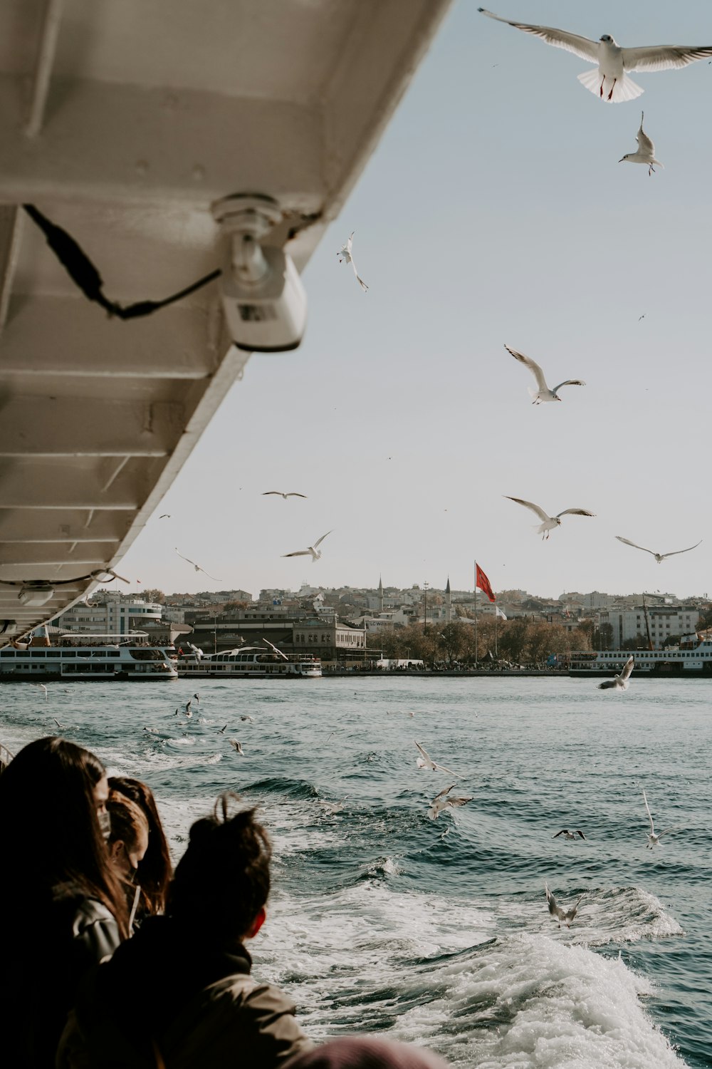 a group of birds flying over a body of water