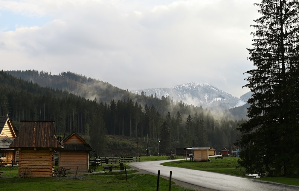 eine Straße mitten im Wald mit einem Berg im Hintergrund