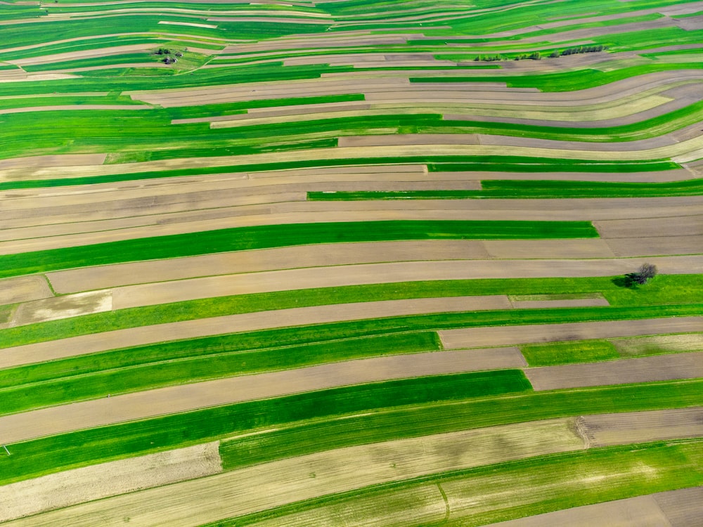 an aerial view of a large field of green grass