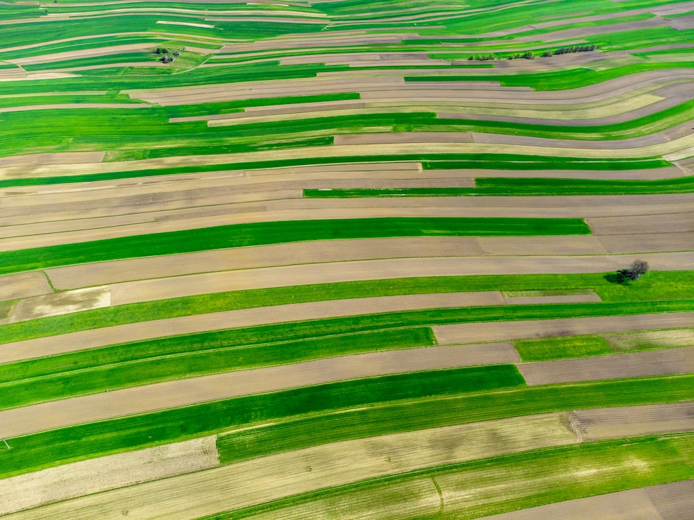 uma vista aérea de um grande campo de grama verde