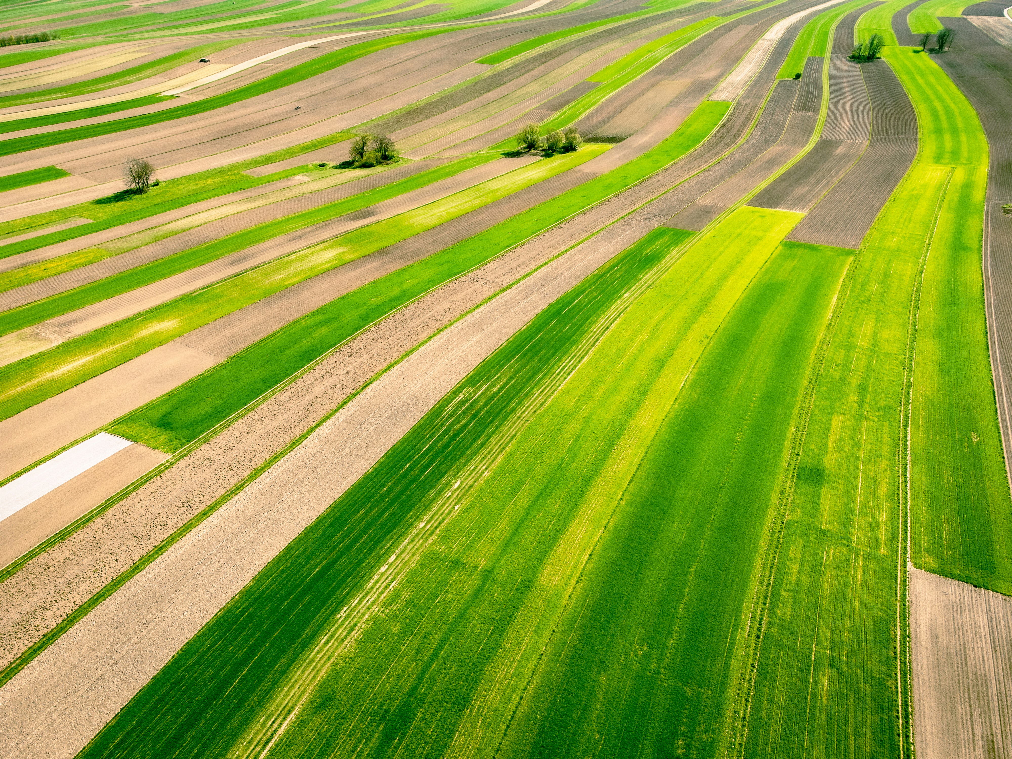 an aerial view of a green field with trees