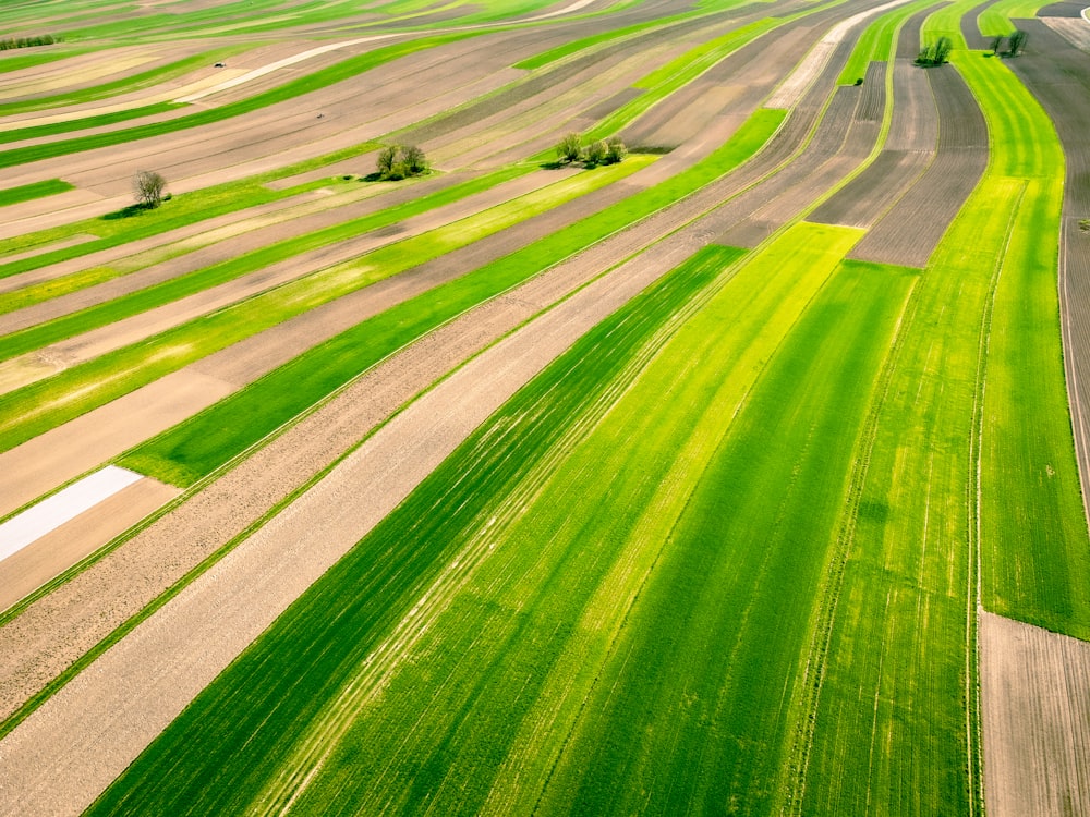 an aerial view of a green field with trees