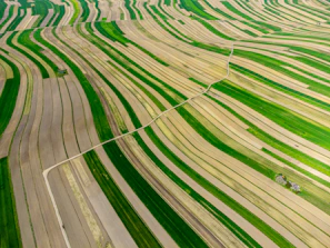 Aerial drone shot of vast farmland with green fields and dirt roads in Entre Ríos