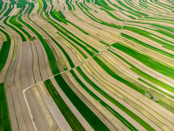 Aerial drone view of vast farmland with green crops and dirt roads in Entre Ríos