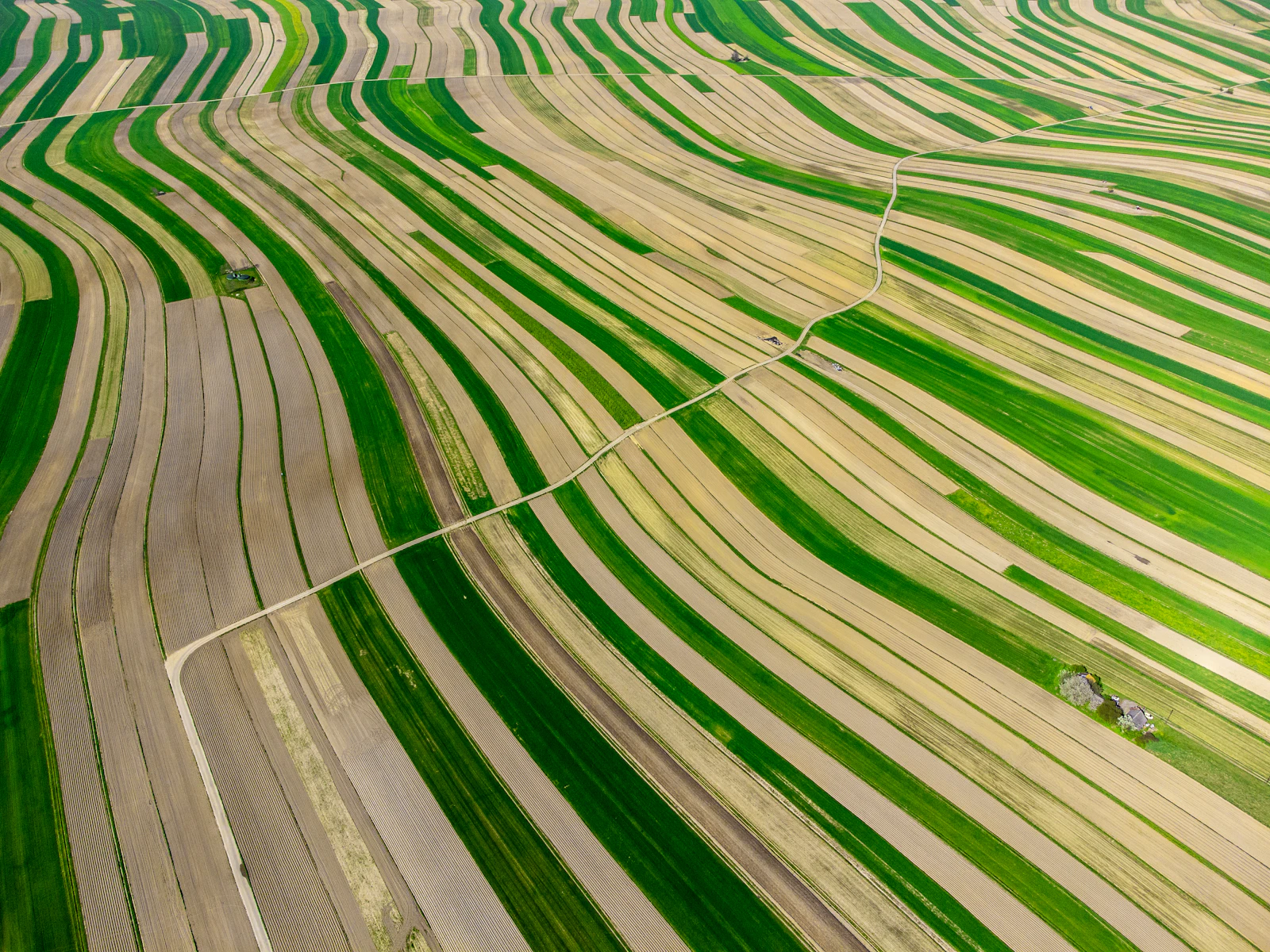 Cultivated fields forming patterns across the land