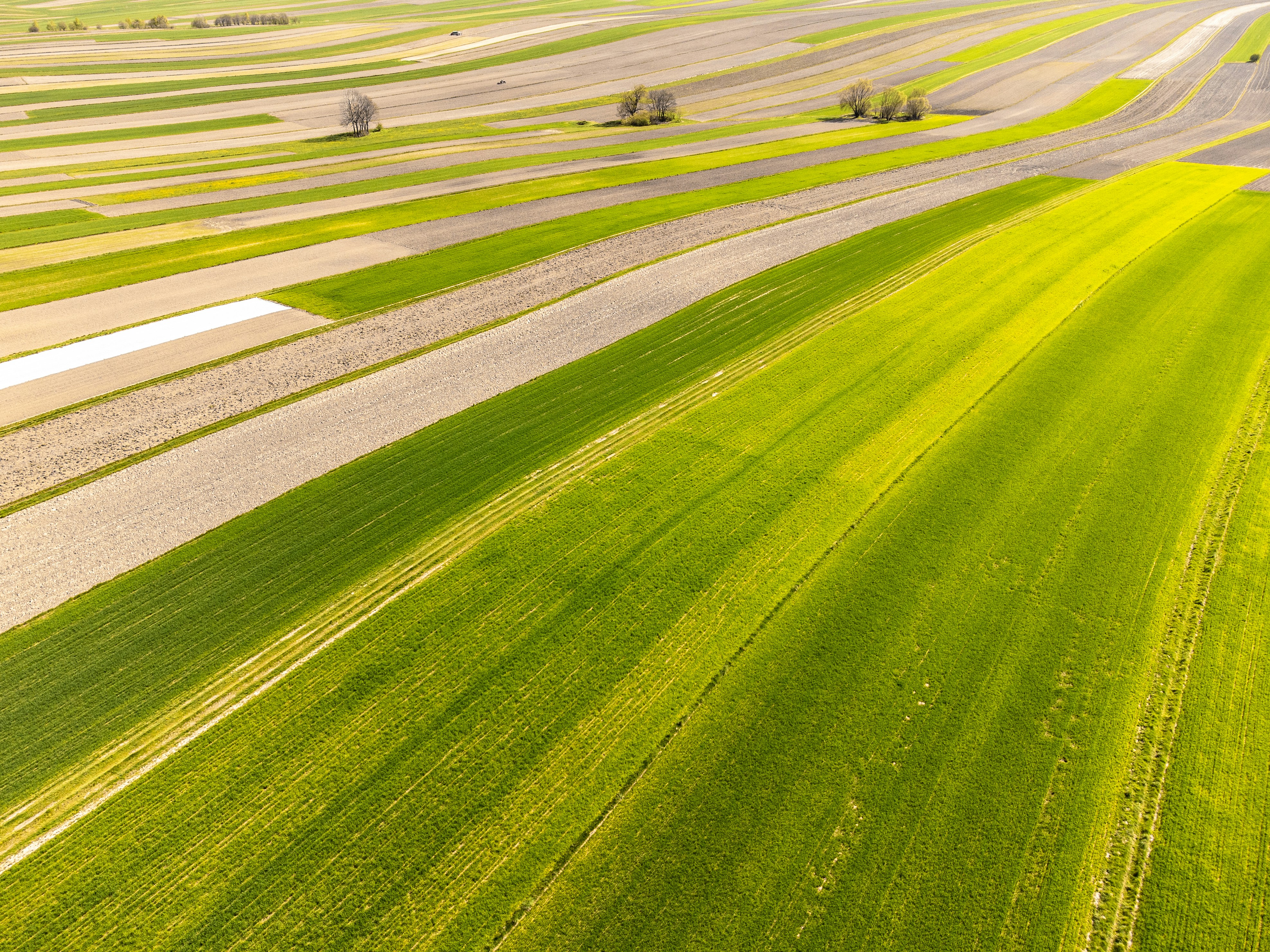 an aerial view of a large field of green grass