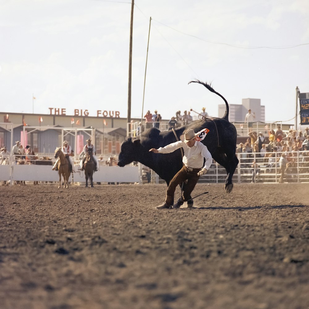Un hombre tratando de luchar contra un toro en un rodeo