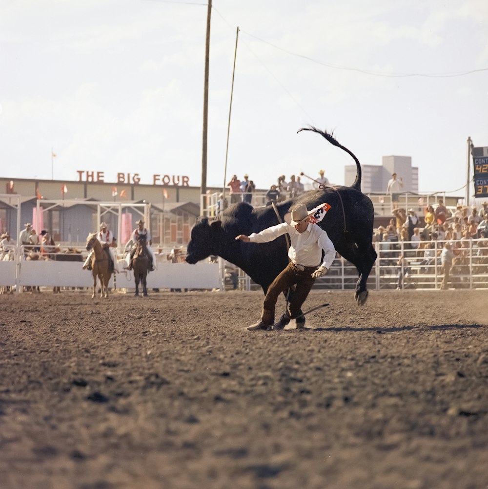 Ein Mann, der versucht, einen Stier in einem Rodeo zu ringen