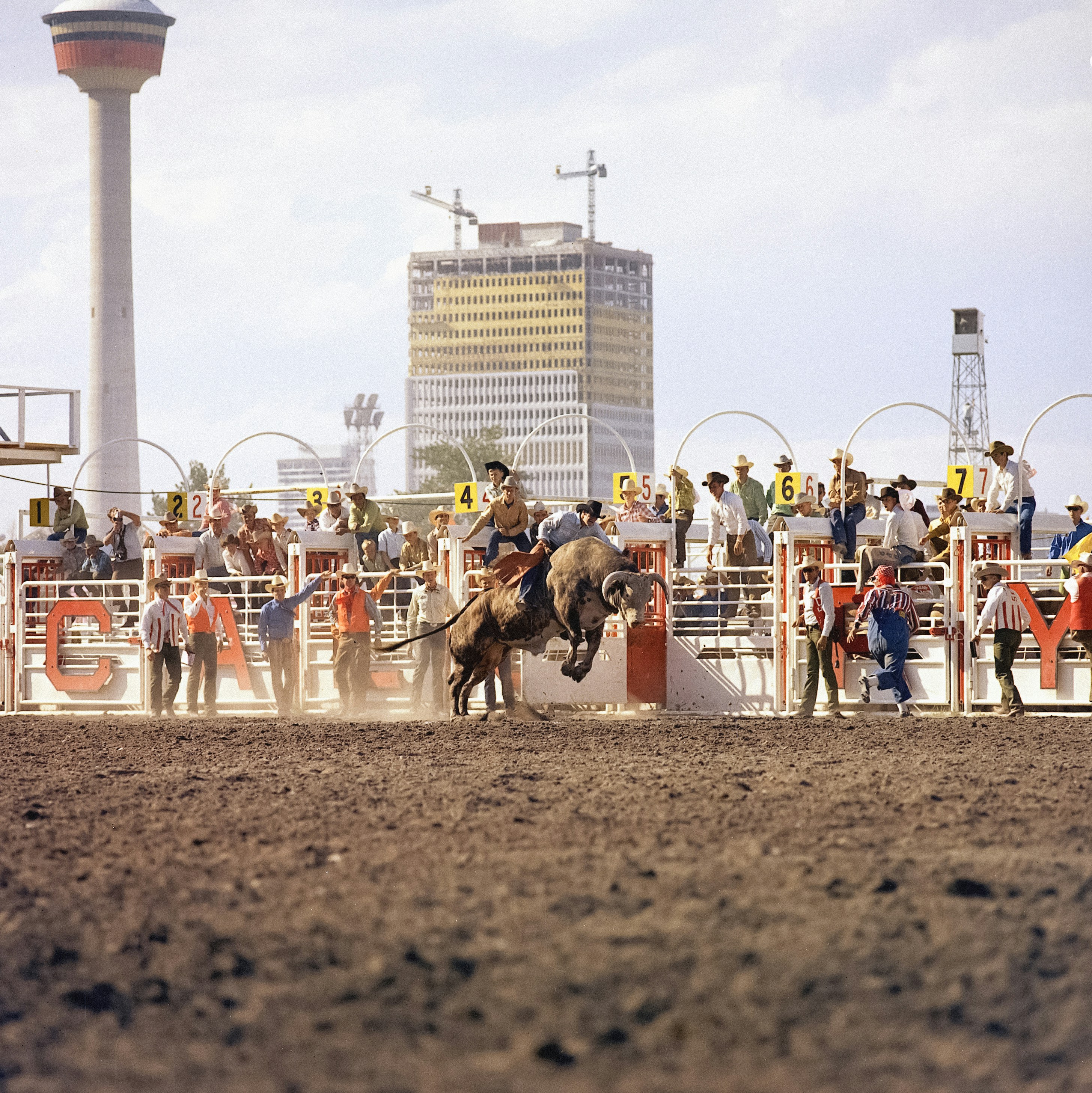 A man riding on the back of a bull in a rodeo photo – Free Archival ...