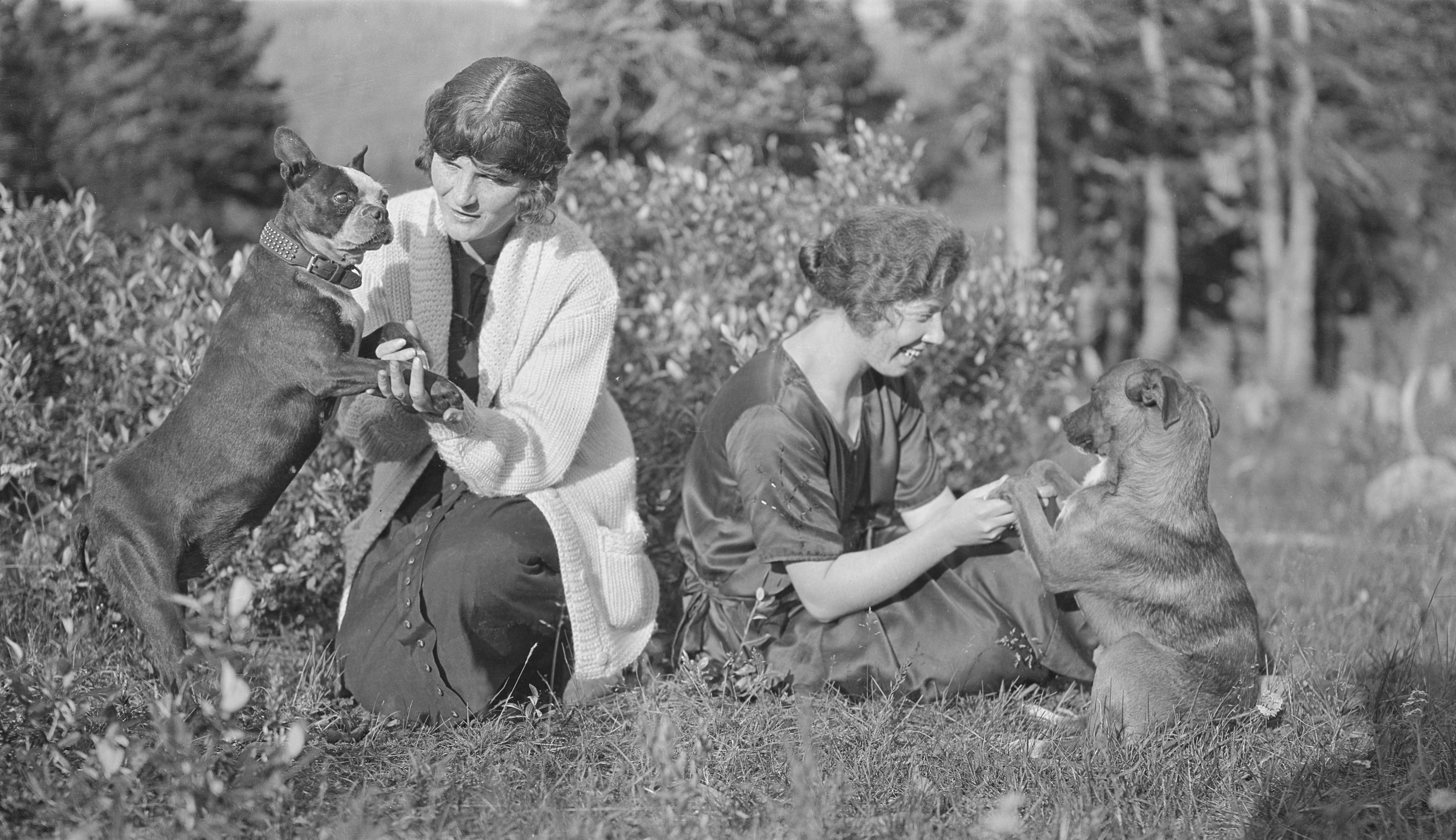 Photo by archivesalberta