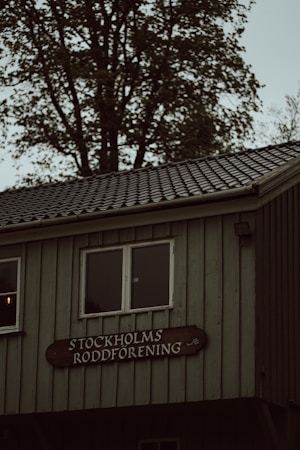Entdecken Sie die faszinierende Wildnis Schwedens