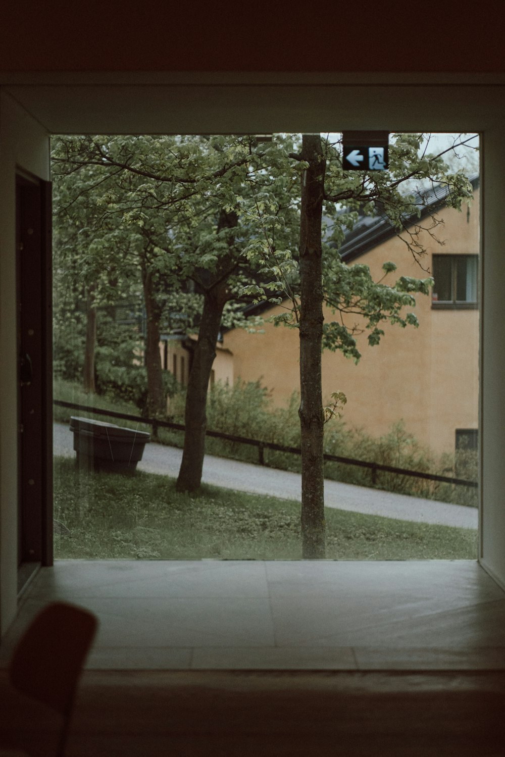 a room with a view of a tree and a bench